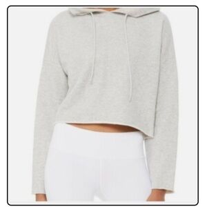 Alo Gray Cropped Hoodie